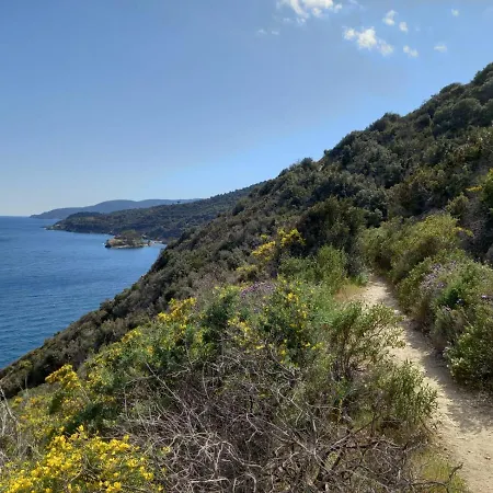 Villa Villa Appiani In Elba Island With Private Pool *